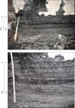 '''Figure 11'''  Photographs showing thinly interlaminated shale and dull to bright coal along margins of the Galatia channel at the Prosperity Mine in Gibson County, Indiana. The lower frame is a closer view of the upper. The ruler is graduated in 0.1-ft intervals.